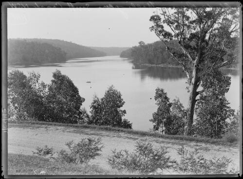 Clyde River, Nelligen, New South Wales, 1934 [picture]