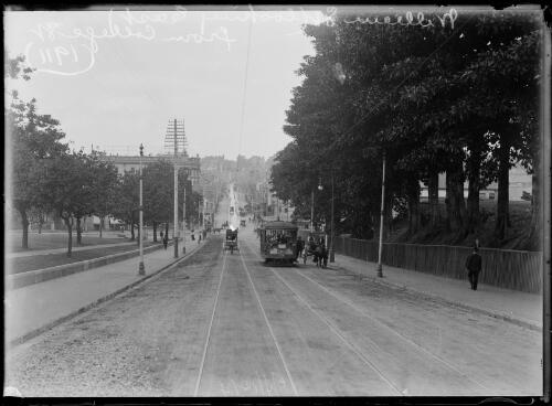 Tram on William Street looking east from College Street, Sydney, 1911 [picture]