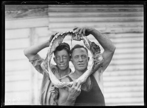 Two men looking through shark jaw bone, New South Wales, ca. 1920 [picture]