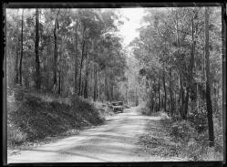 The road from Batemans Bay to Nelligen, New South Wales, 1934 [picture]