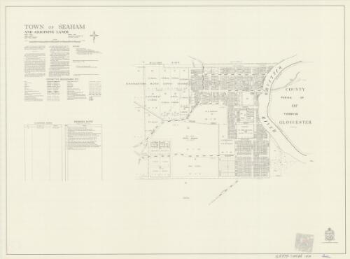 Town of Seaham and adjoining lands [cartographic material] : Parish - Seaham, County - Durham, Land District - Maitland, Shire - Port Stephens : within Division - Eastern, N.S.W