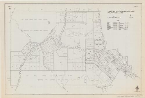 Town of Sunny Corner and adjoining lands [cartographic material] : Parish - Castleton, Land Board District - Orange, Land District - Bathurst,  Shire - Evans, Pastures Protection District - Bathurst, County - Roxburgh : within Division - Eastern, N.S.W