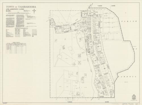 Town of Tambaroora and adjoining lands [cartographic material] : Parish - Tambaroora, County -  Wellington, Land District - Bathurst, Shire - Cudgegong
