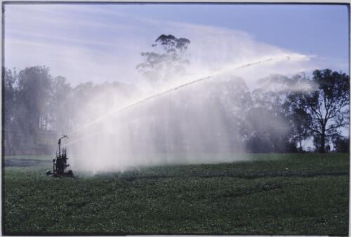 Crop irrigation on a farm in Murgon, Queensland, approximately 1998 / Robin Smith