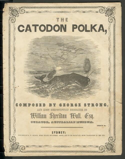 The catodon polka [music] / composed by George Strong