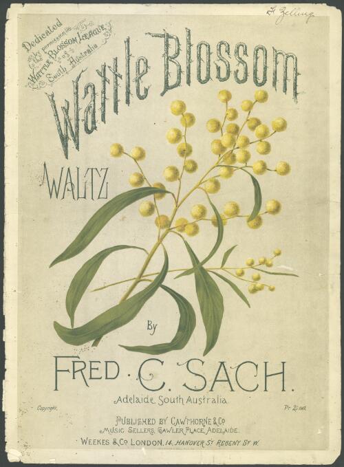 Wattle blossom waltz [music] / by Fred C. Sach