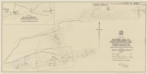 Plan of eastern end of gold-antimony line, Blue Spec-Billjim area, Pilbara Goldfield, W.A. showing reefs workings & assay results [cartographic material] / Aerial, Geological and Geophysical Survey, Northern Australia ; surveys & reef mapping by J.C. Thompson