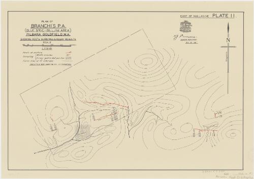 Plan of Branchi's P.A. (Blue Spec-Billjim area) Pilbara Goldfield, W.A. showing reefs, workings & assay results [cartographic material] / Aerial, Geological and Geophysical Survey, Northern Australia ; surveys & reef mapping by J.C. Thompson