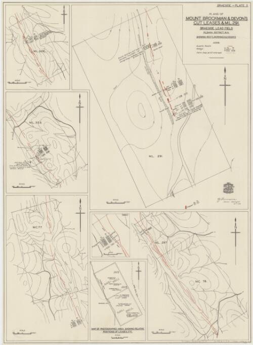 Plans of Mount Brockman & Devon's Cut leases & M. L. 291, Braeside Lead Field, Pilbara District, W.A. [cartographic material] : showing reefs, workings and assays / Aerial, Geological and Geophysical Survey, Northern Australia