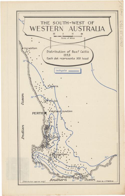 The South-West of Western Australia [cartographic material] : distribution of beef cattle 1953 / drawn by J. O'Halloran