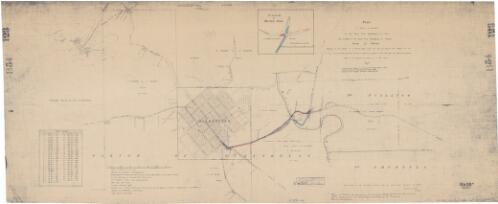 Plan of survey of deviation in the road from Queanbeyan to Yass with a branch to the road from Queanbeyan to Collector, County of Murray [cartographic material]