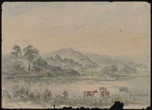 Landscape with cattle grazing, New South Wales, approximately 1851 / Thomas Balcombe