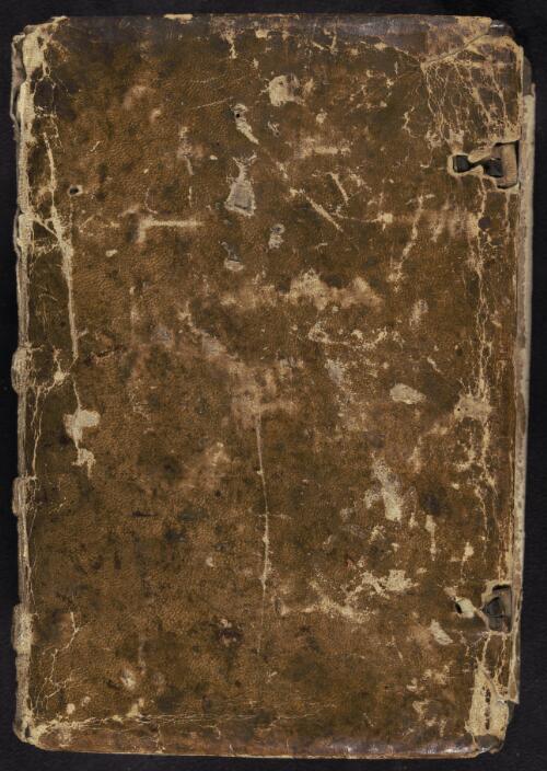 Illuminated Psalter, 1330-1350 [manuscript]