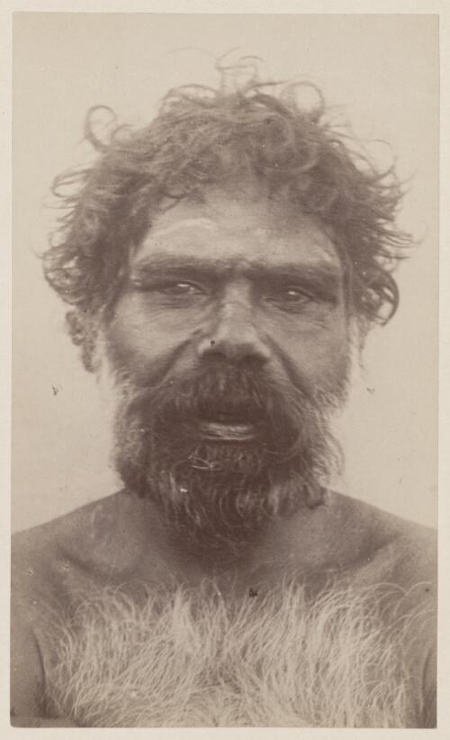 Portrait of an Aboriginal Australian man, New South Wales?, approximately 1890, 1