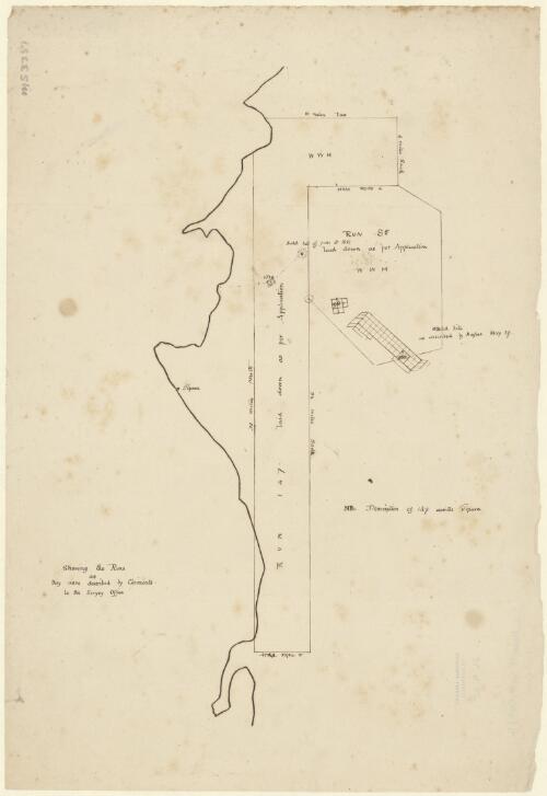 Showing the runs as they were described by claimants to the Survey Office [cartographic material]