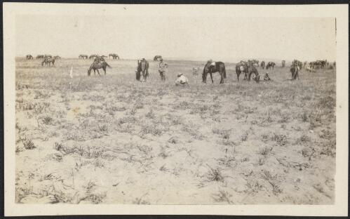 Australian Light Horse soldiers letting their horses graze, Gaza Strip, approximately 1917, 2