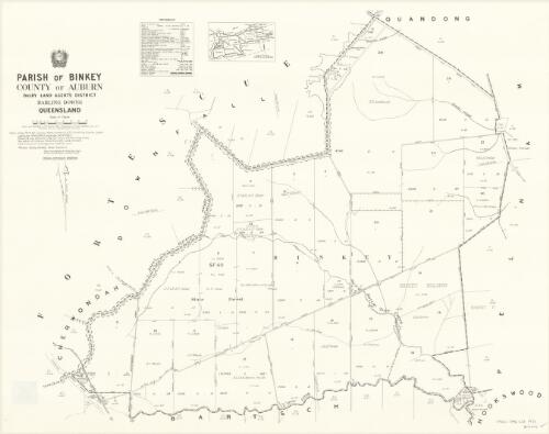 Parish of Binkey, County of Auburn [cartographic material] / drawn and published at the Survey Office, Department of Lands