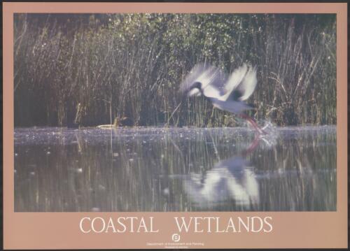 Coastal wetlands / photograph by Kate Boyd