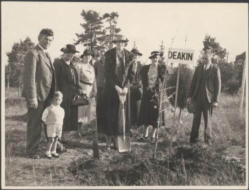 Mrs Ivy Brookes planting a tree, in memory of Alfred Deakin, in the Prime Minister's Corridor at Faulconbridge, N.S.W., 17 August, 1936 [picture]
