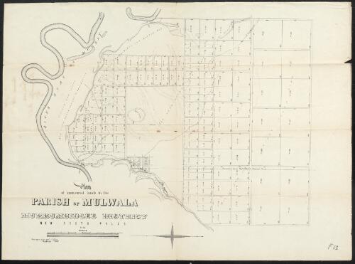 Plan of measured lands in the Parish of Mulwala [cartographic material] : Murrumbidgee District, New South Wales, 1857 / E.J. Bennett