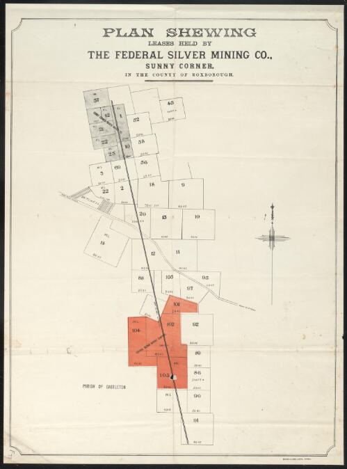 Plan shewing leases held by the Federal Silver Mining Co., Sunny Corner [cartographic material] / in the county of Roxborough Boore & Long, Litho
