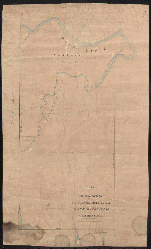 Plan of Coorumbung [cartographic material] part of the Hely Estate, Lake Macquarrie [i.e. Macquarie]