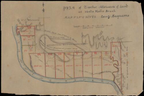 Plan of twelve allotments of land at Woolla Woolla Brush Manning River County Macquarrie [cartographic material]