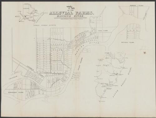 Plan of the alluvial farms Manning River [cartographic material]