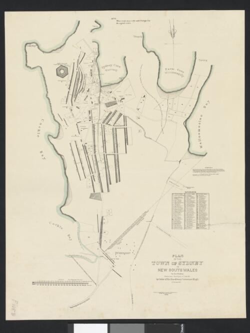 Plan of the town of Sydney in New South Wales [cartographic material] / by Jas. Meehan, assistant surveyor of Lands by order of His Excellency Governor Bligh, 31st October 1807