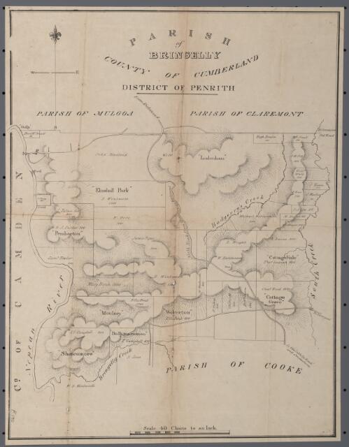 Parish of Bringelly, County of Cumberland [cartographic material]