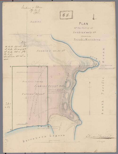 Plan of the survey of Jenkins' 80 acre grant [cartographic material] : situate in the Parish of Narrabeen / W. Meadows Brownrigg, Surveyor