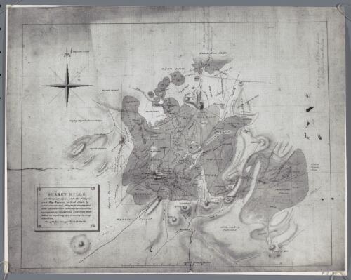 Surrey Hills [cartographic material] / Henry Hellyer, Surveyor, VDL Co. 23 Mar. 1831
