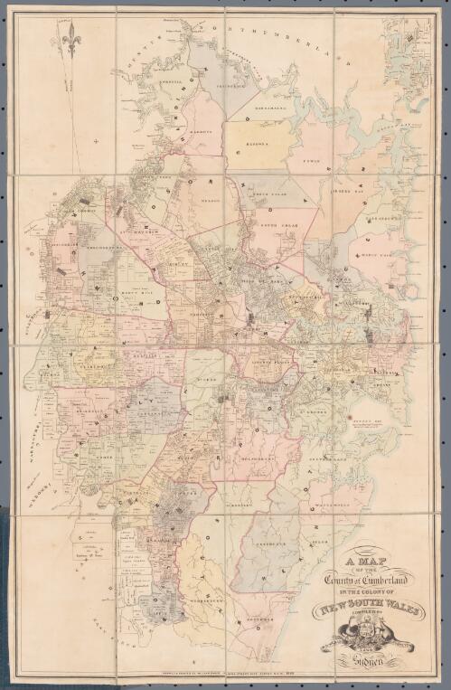 A map of the County of Cumberland in the Colony of New South Wales [cartographic material] / Compiled by W.H. Wells, Land Surveyor