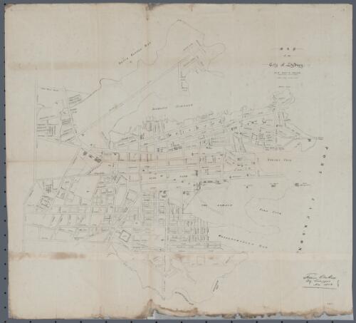 Map of the city of Sydney, New South Wales [cartographic material] / J. Allan, Lithog
