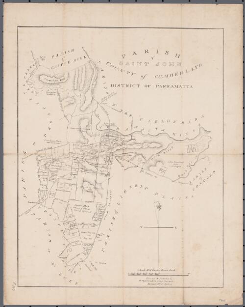 Parish of St. John, County of Cumberland [cartographic material] / printed & published by W. Meadows Brownrigg, Surveyor