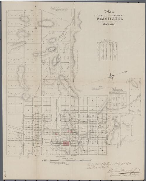 Plan of the town and part of the Parish of Nimmitabel, County of Wellesley, Monaro [cartographic material] / G. Bishop
