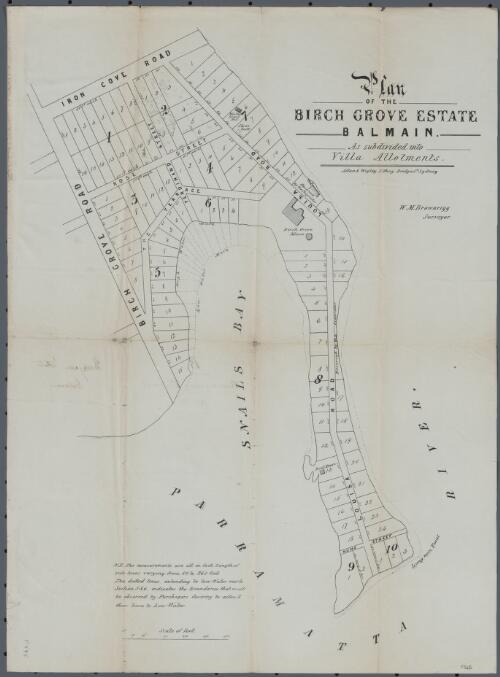 Plan of the Birch Grove Estate Balmain as subdivided into villa allotments [cartographic material] / W.M. Brownrigg Surveyor