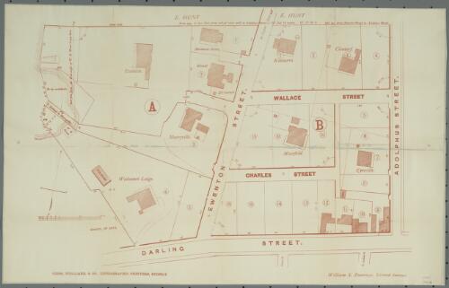 [Section of Balmain Sydney between Darling Street and Adolphus Street] [cartographic material] / William S. Burrowes