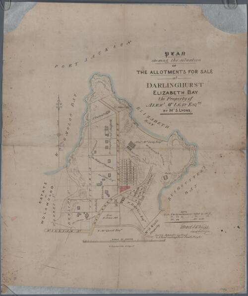 Plan shewing the situation of the allotments for sale at Darlinghurst Elizabeth Bay [cartographic material] : the property of Alexr. Mcleay Esqre. by Mr S. Lyons / Edward J.H. Knapp Land Surveyor
