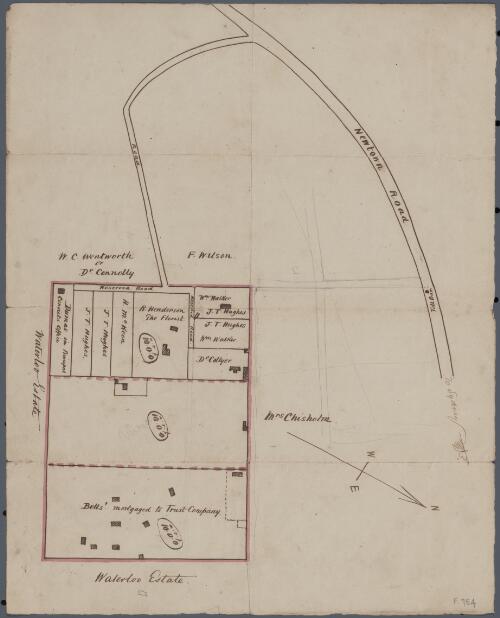 [Allotments bordering on Waterloo Estate near Newtown Road, Sydney] [cartographic material]