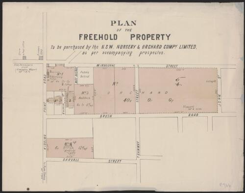Plan of the freehold property to be purchased by the N.S.W. Nursery & Orchard Compy, Limited ...[Kissing Point Road, Ermington] [cartographic material]