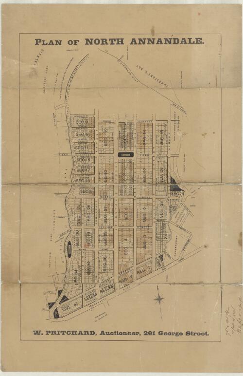 Plan of north Annandale [cartographic material] / W. Pritchard, auctioneer, 281 George Street
