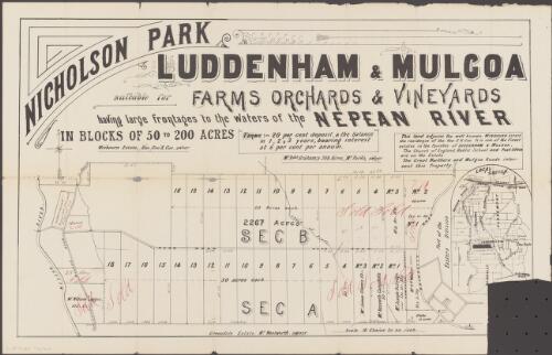 Nicholson Park, Luddenham & Mulgoa [cartographic material] : suitable for farms, orchards & vineyards : having large frontages to the waters of the Nepean River : in blocks of 50 to 200 acres