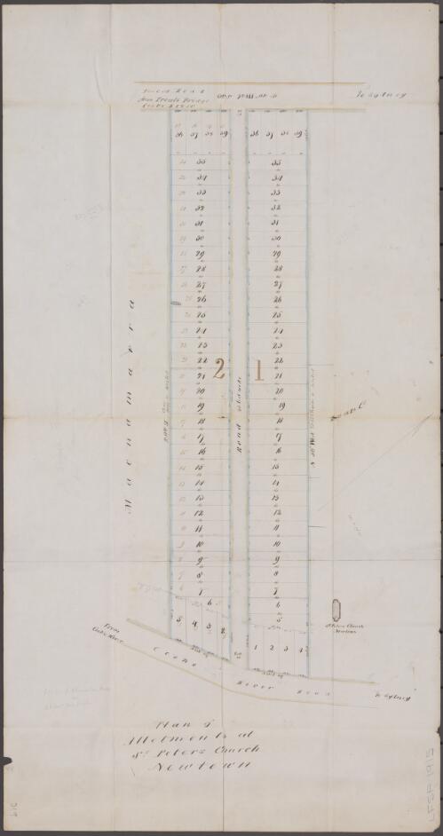 Plan of allotments at St Peters Church, Newtown [cartographic material]