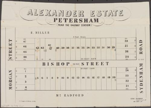 Alexander Estate, Petersham (near the railway station) [cartographic material]