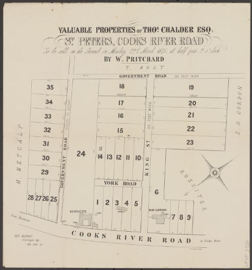 Valuable properties of Thos. Chalder Esq [cartographic material] : St. Peters, Cooks River Road : to be sold on the ground on Monday 22nd March 1875, at half past 2 o'clock / by W. Pritchard