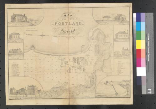 Map of the town of Portland in the colony of Victoria [cartographic material] / Surveyed ... Etched on stone and published by Fredk, Wm. Birmingham