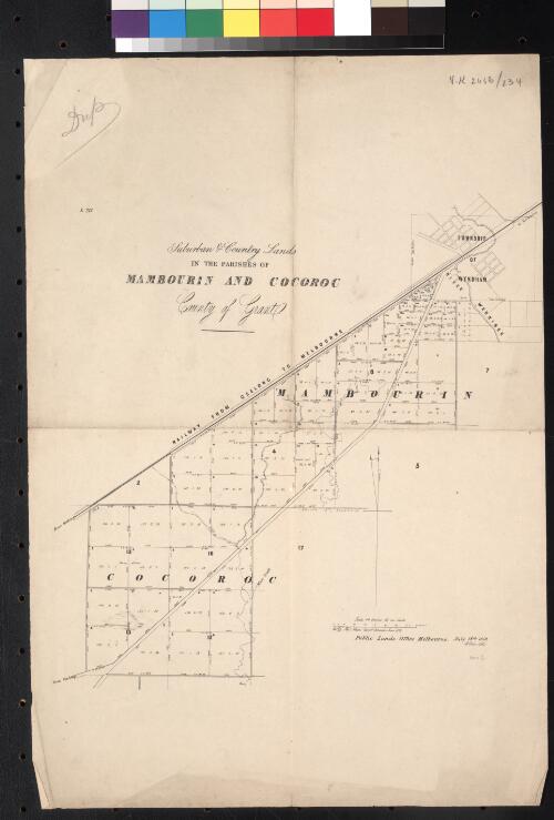 Suburban & country lands in the Parishes of Mambourin and Cocoroc County of Grant (adjoining township of Wyndham] [cartographic material] / Thos. Nixon Assist. Surveyor June 1859; E. Gilks lith