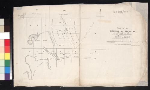 Plan of the subdivision of section VII Parish of Murgheboluc, County of Grant [cartographic material] / A. J. Skene District Surveyor; lithographed by E. Gilks