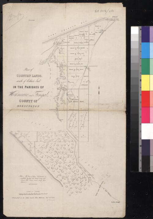 Plan of country lands south of Arthurs Seat in the Parishes of Wannaeue and Fingal, County of Mornington [cartographic material] / H. Permein and Charles Bone Assist. Surveyors; lithographed ... by Edward Gilks